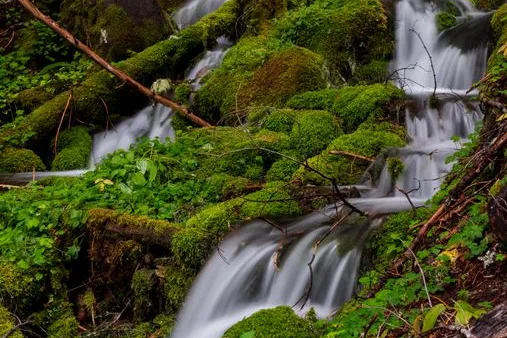 Tours & Activities in Cedar Spring