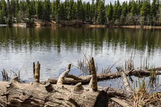 Tours & Activities in Tusayan Lake