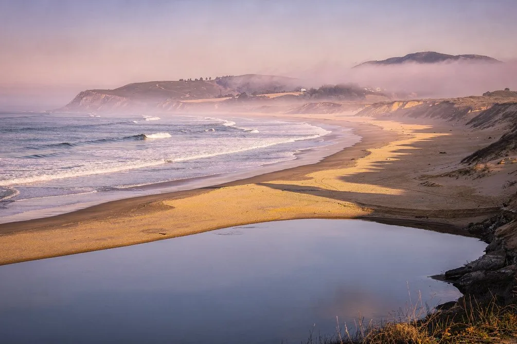 Tours & Activities in Half Moon Bay