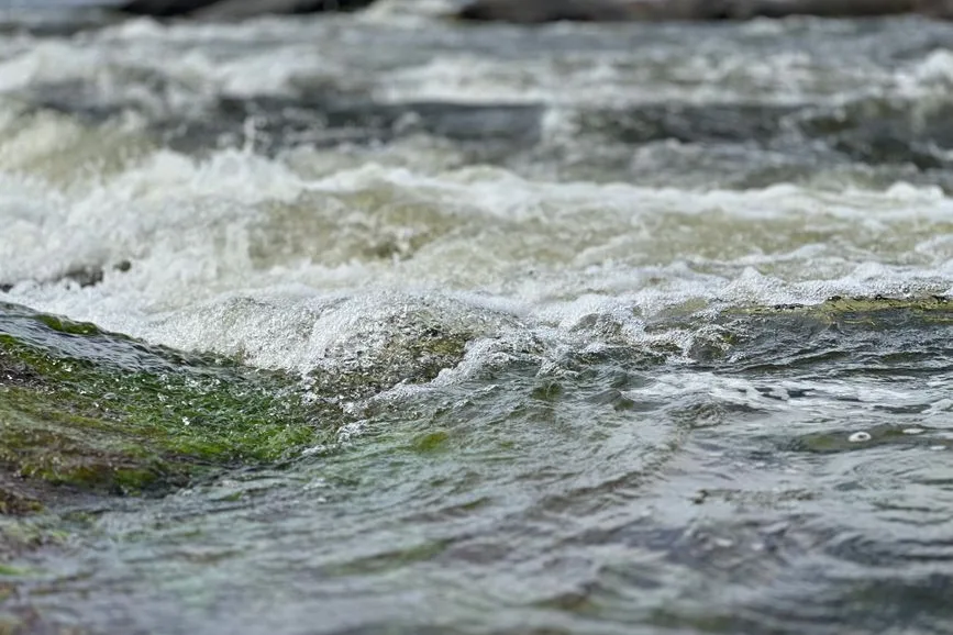 Tours & Activities in Hermit Rapids