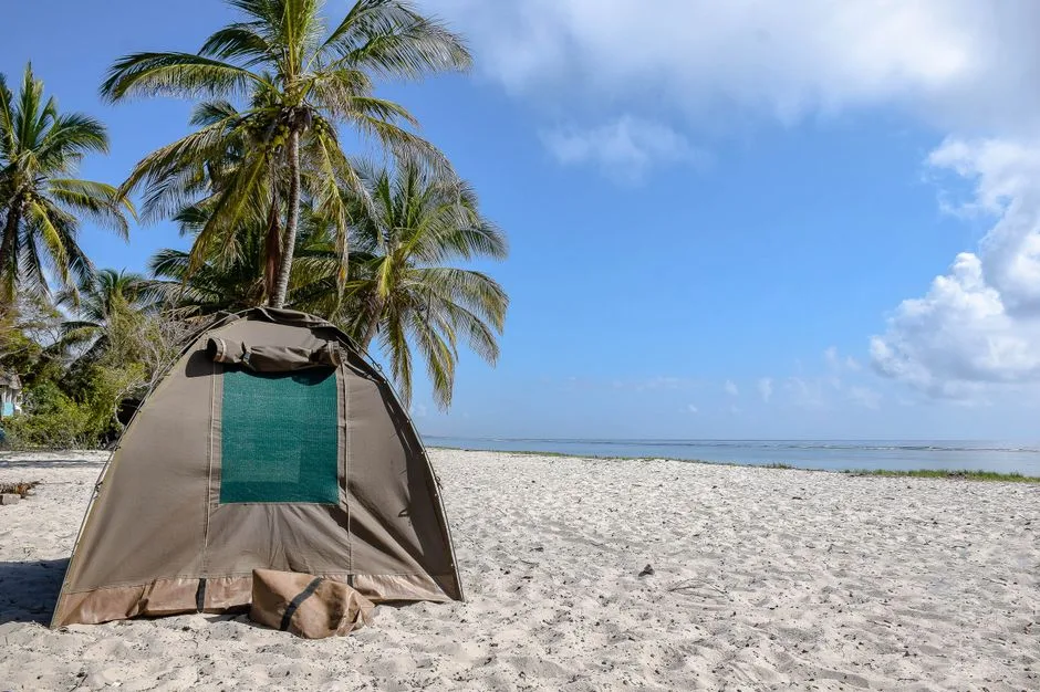 Tours & Activities in Island Camp