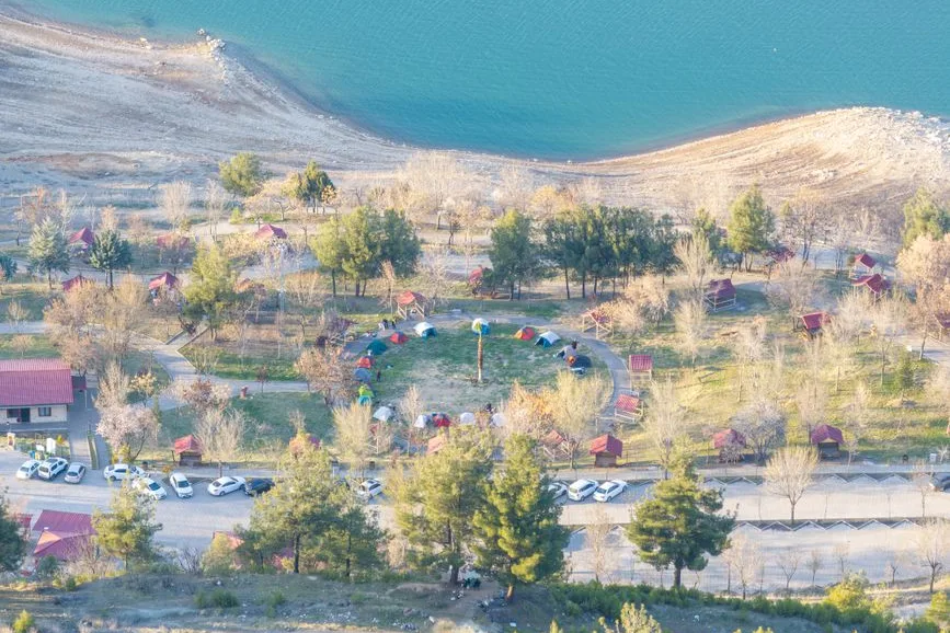 Tours & Activities in Nautiloid Camp