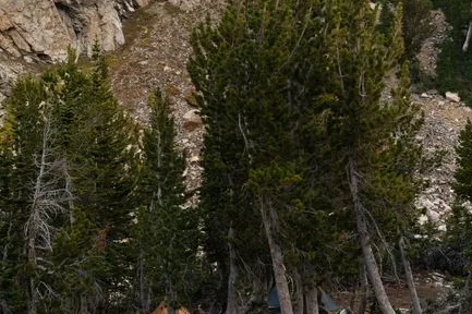 Tours & Activities in Above Marthas Camp