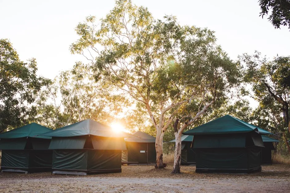 Tours & Activities in 59 Mile Camp