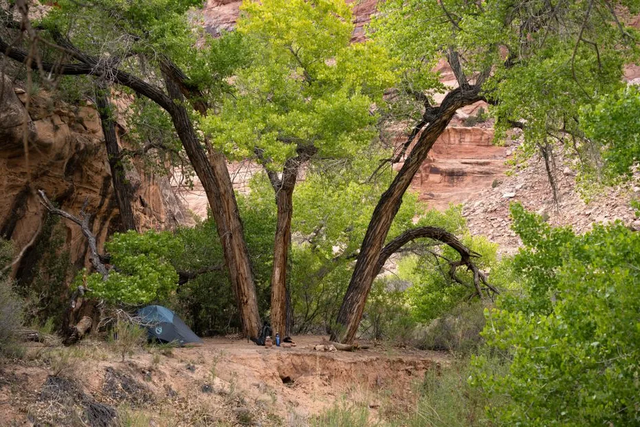 Tours & Activities in Tuweep Campground