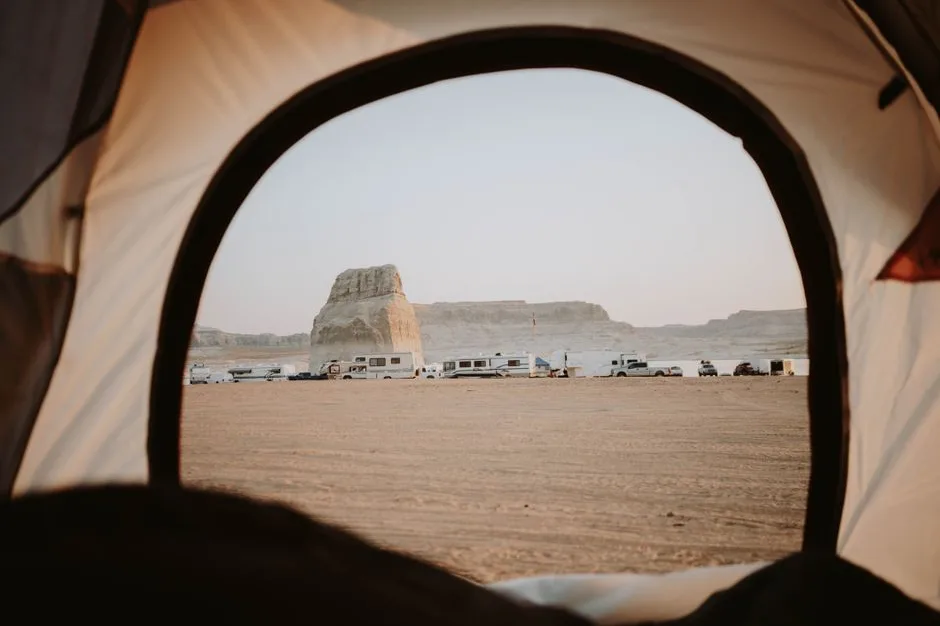 Tours & Activities in Desert View Campground