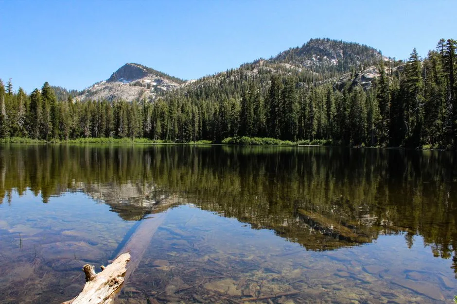 Tours & Activities in Tahoe Valley Campground