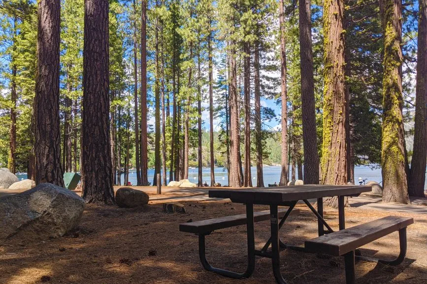 Tours & Activities in Fallen Leaf Campground