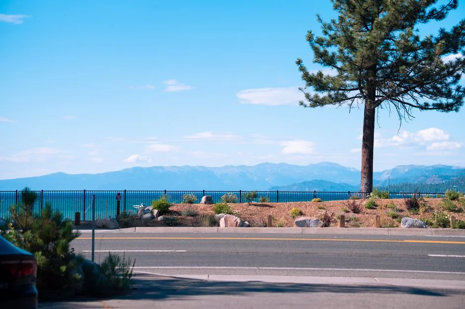 Tours & Activities in City of Lake Tahoe Campground
