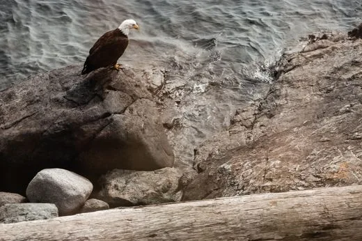 Tours & Activities in Eagle Point Campground