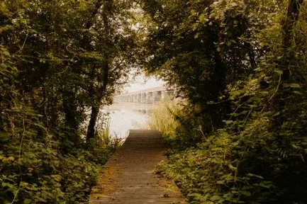 Tours & Activities in D. L. Bliss State Park