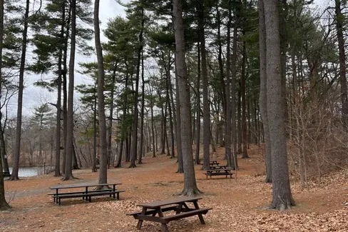 Tours & Activities in D. L. Bliss State Park