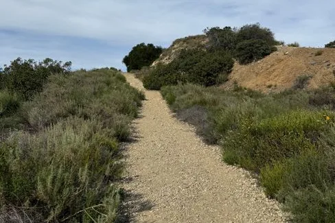 Tours & Activities in Jumbo Grade Trailhead