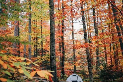 Tours & Activities in Fallen Leaf Campground