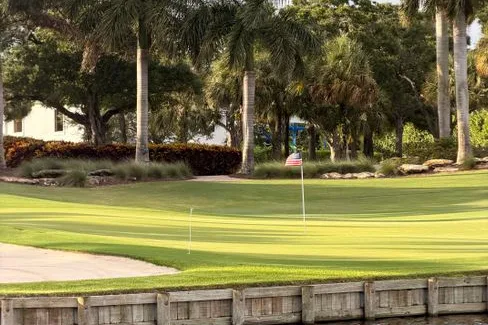 Tours & Activities in Boca Spring