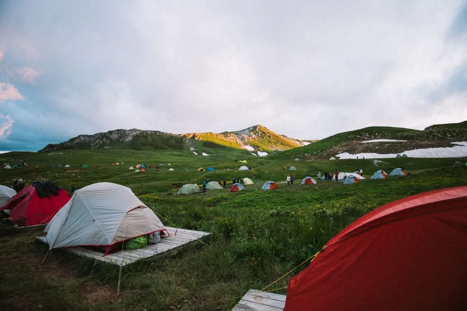 Tours & Activities in Alpine Meadow Campground