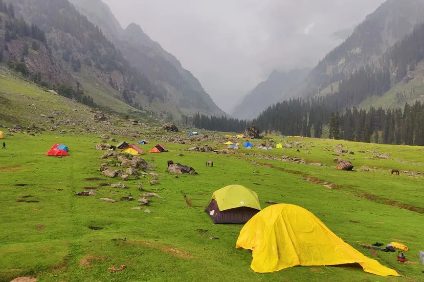 Tours & Activities in Alpine Meadow Campground