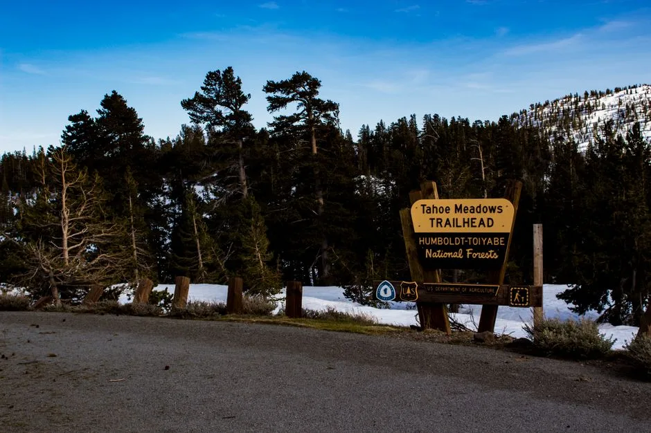 Tours & Activities in Eagle Falls Trailhead