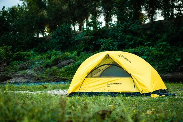 Tours & Activities in William Kent Campground
