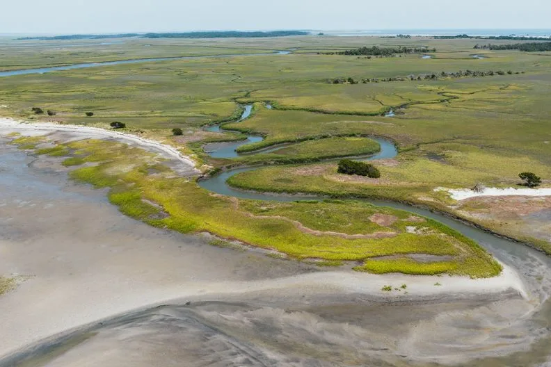 Tours & Activities in Smithneck Creek