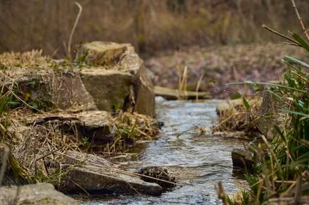 Tours & Activities in Smithneck Creek