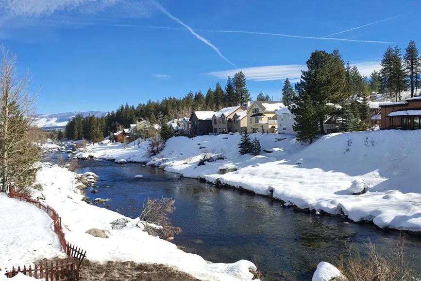 Tours & Activities in Lower Little Truckee