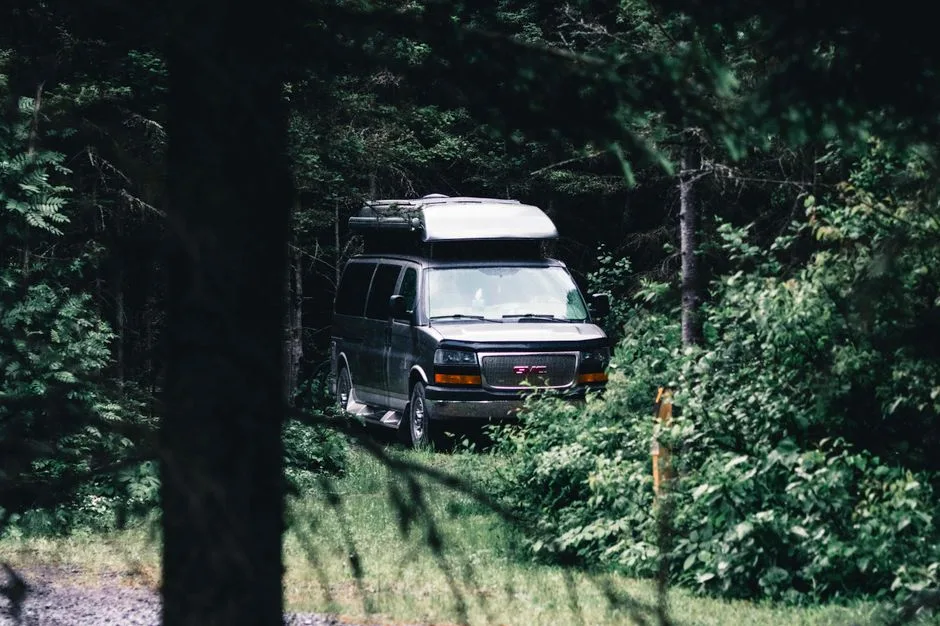 Tours & Activities in Pleasant Campground
