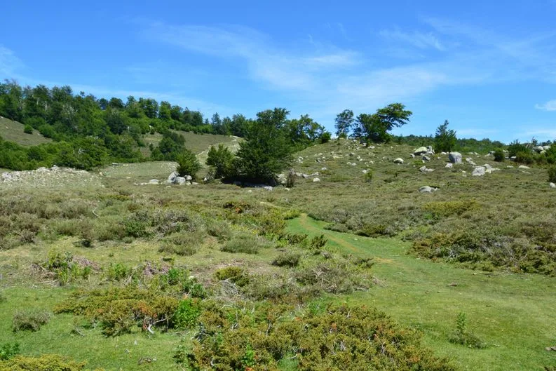 Tours & Activities in French Meadows