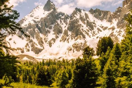 Tours & Activities in French Meadows