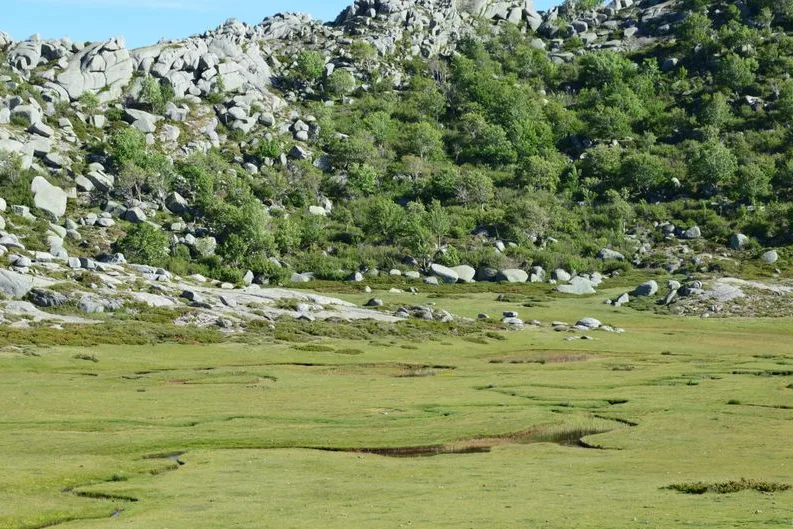 Tours & Activities in French Meadows