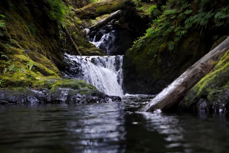 Tours & Activities in Angel Creek Day Use