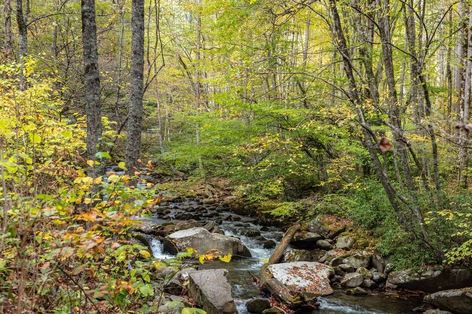 Tours & Activities in Angel Creek Day Use