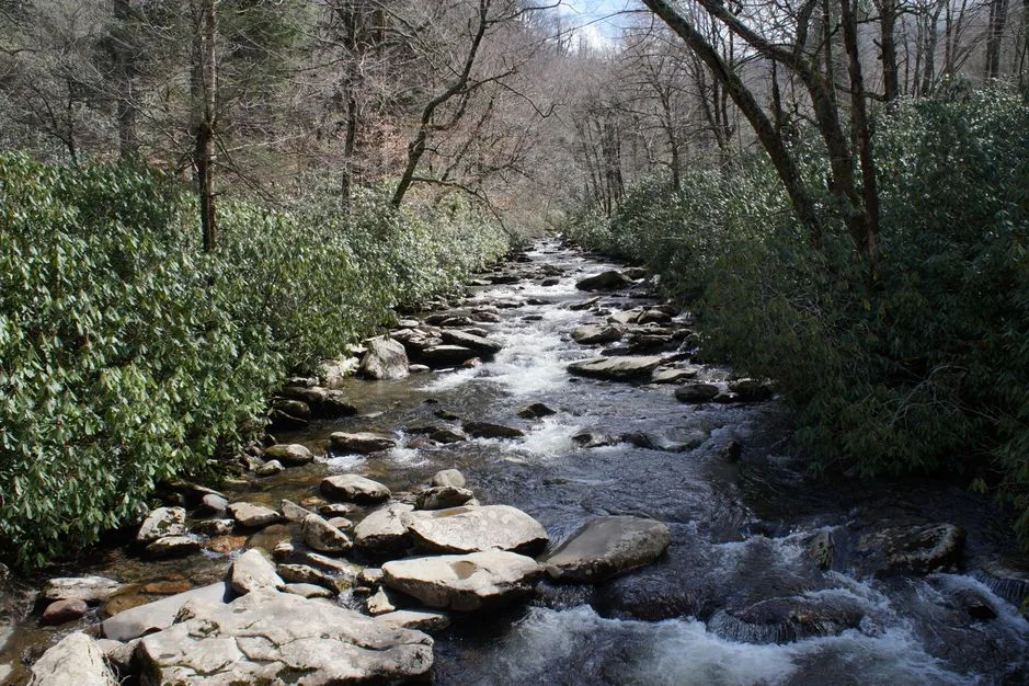 Tours & Activities in Angel Creek Day Use