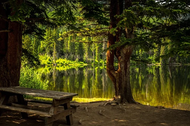 Tours & Activities in Wrights Lake Recreation Area Day Use