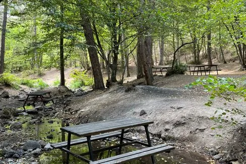 Tours & Activities in Gerle Creek Picnic Area