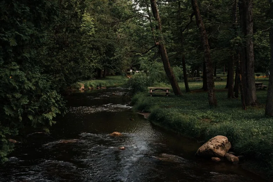 Tours & Activities in Gerle Creek Picnic Area