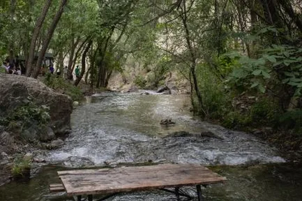 Tours & Activities in Gerle Creek Picnic Area