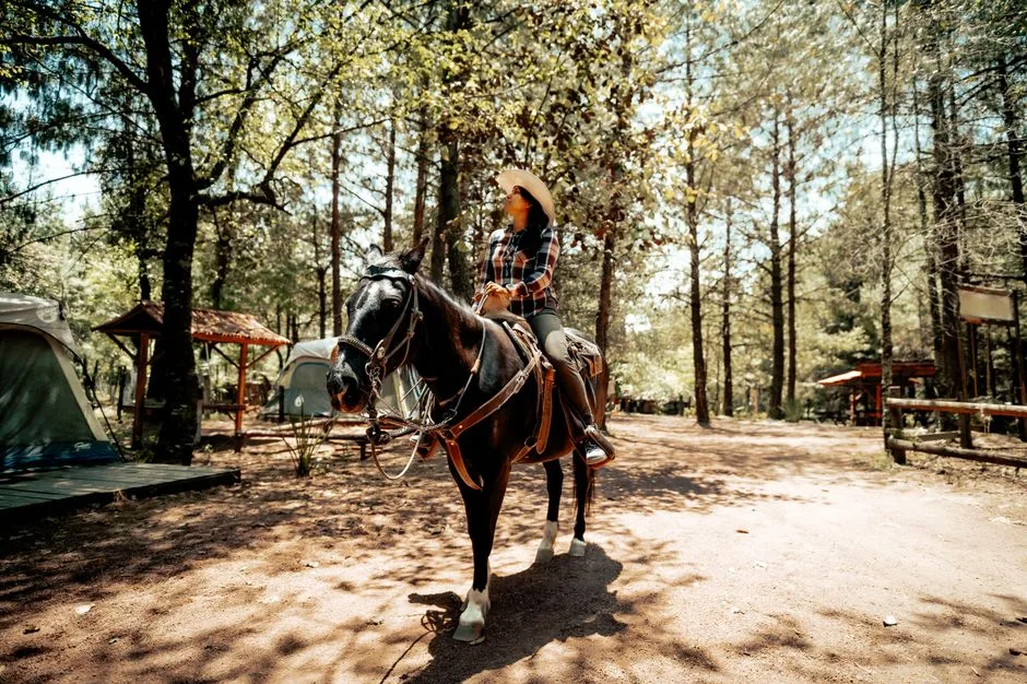 Tours & Activities in WRIGHTS LAKE EQUESTRIAN CAMPGROUND