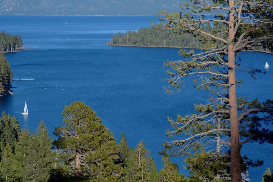 Tours & Activities in Meeks Bay Resort