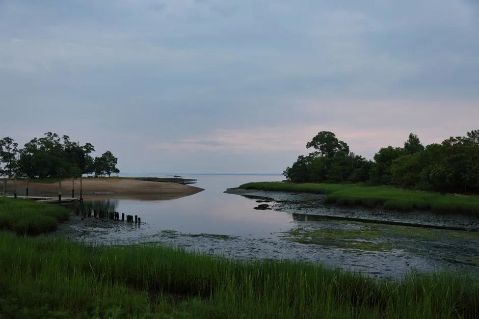 Tours & Activities in Smithneck Creek