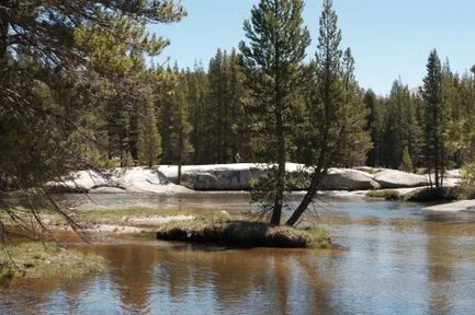 Tours & Activities in Wrights Lake Area