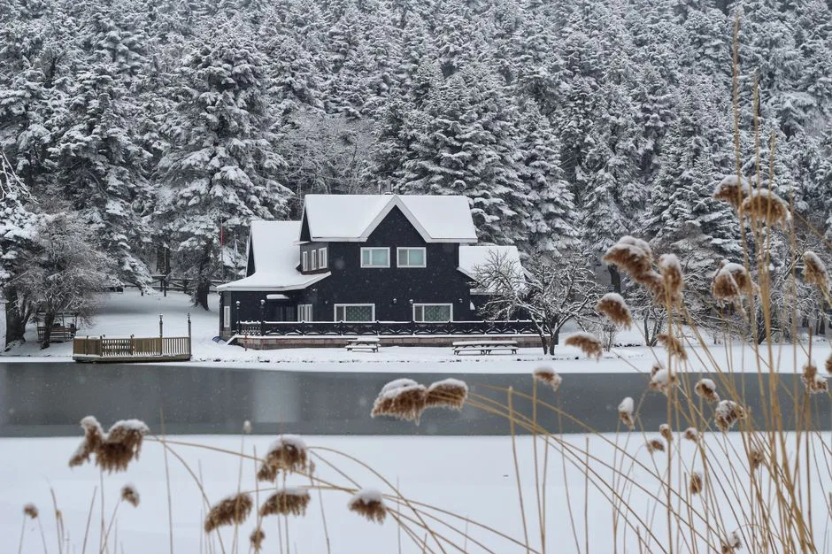 Tours & Activities in LOON LAKE CHALET