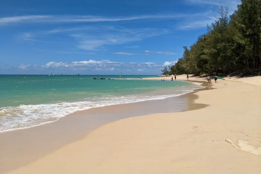 Tours & Activities in Baldwin Beach