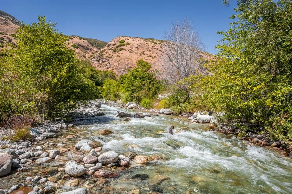 Tours & Activities in WOLF CREEK CALIFORNIA