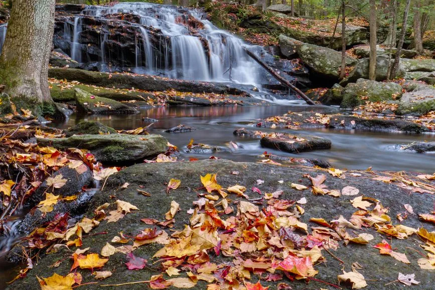 Tours & Activities in Cascade Falls