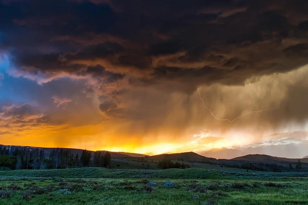 Tours & Activities in Yellowstone National Park