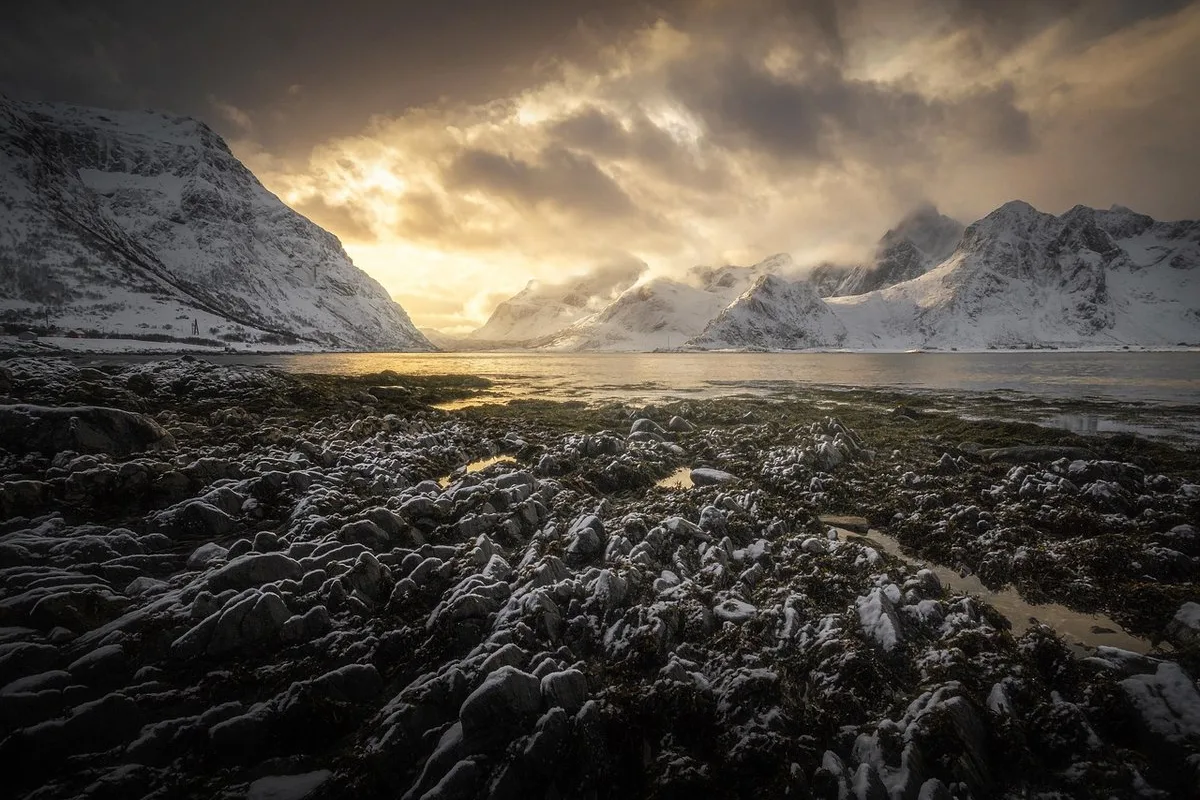 Tours & Activities in Lofoten Islands