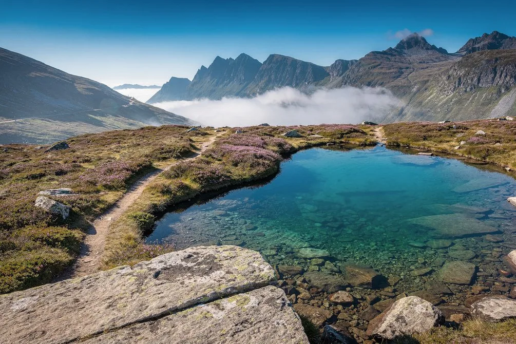 Tours & Activities in Munro Trail