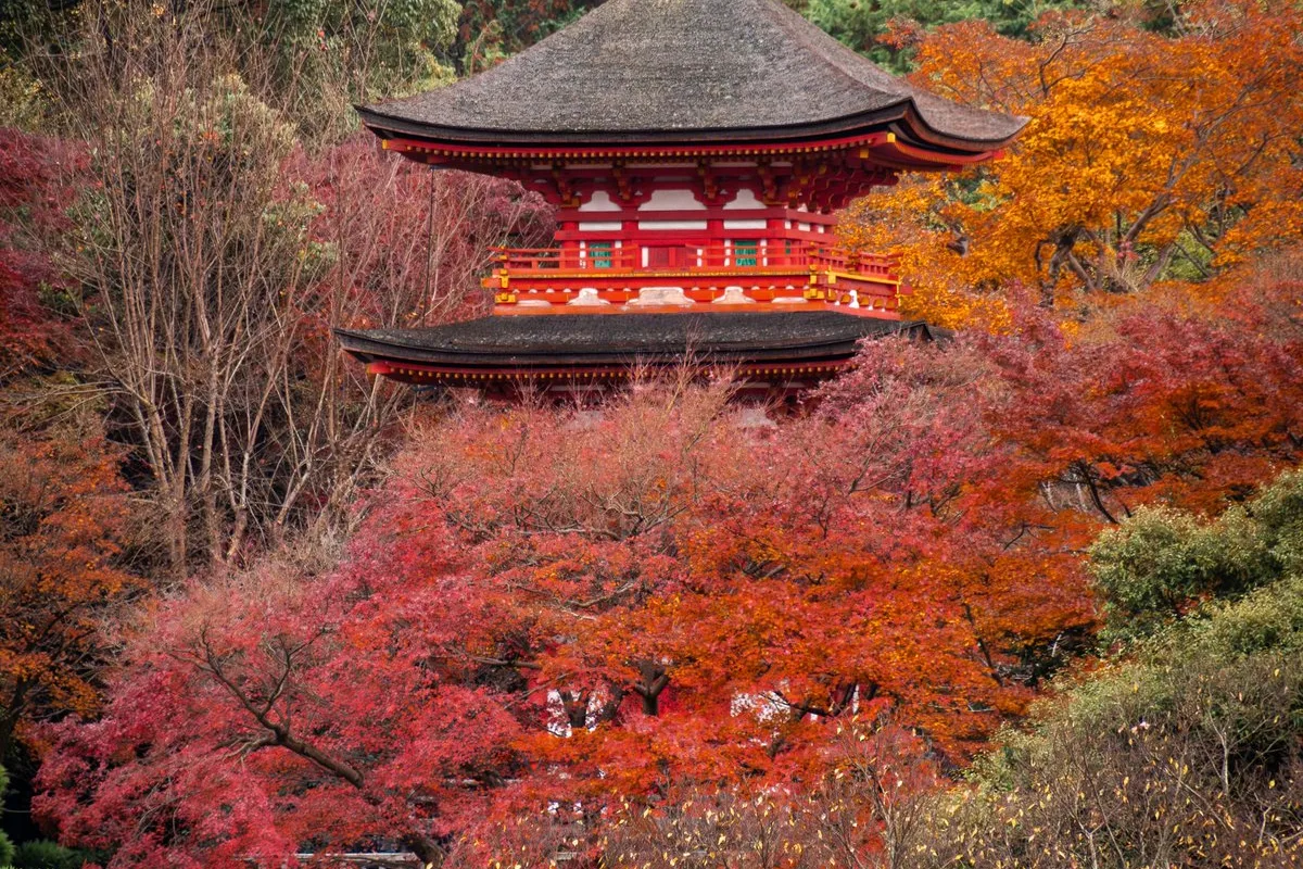 Tours & Activities in Ryōan-ji Temple