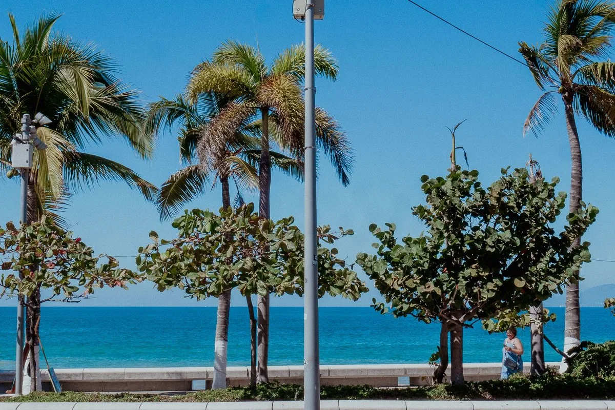 Tours & Activities in Puerto Vallarta